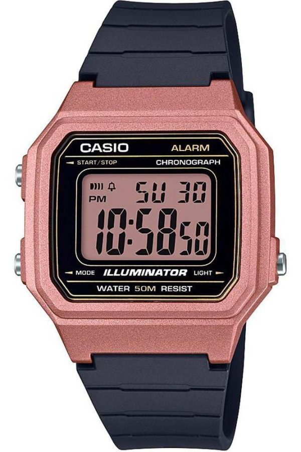 Casio Relógios 347802